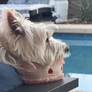 Meet your Posher, Teresa